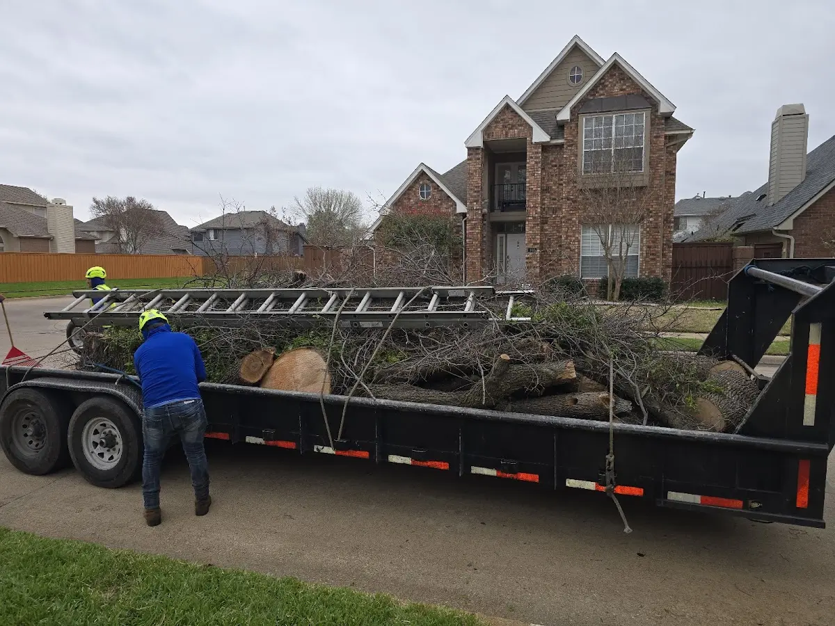Expert Tree Pest Control with proper safety equipment in Kennedyville